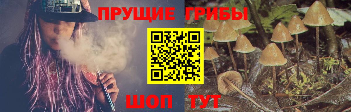 Благовещенск  Псилоцибиновые грибы GOLDEN TEACHER  Вход с VPN  Галлюциногенные грибы Magic Shrooms 